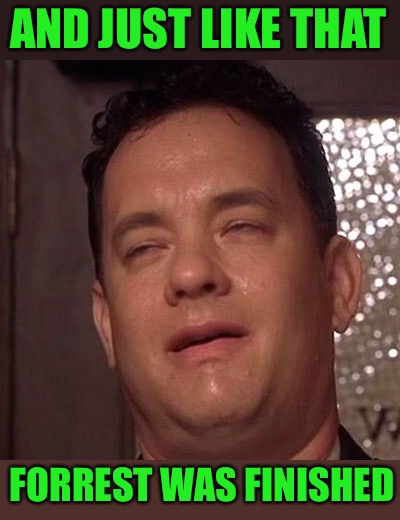 Tom Hanks Orgasm | AND JUST LIKE THAT FORREST WAS FINISHED | image tagged in tom hanks orgasm | made w/ Imgflip meme maker