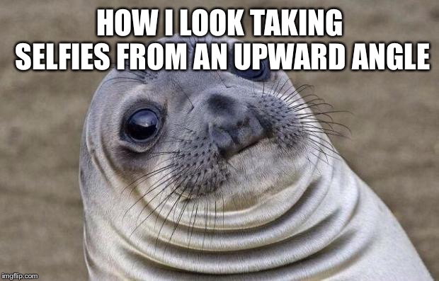 Awkward Moment Sealion | HOW I LOOK TAKING SELFIES FROM AN UPWARD ANGLE | image tagged in memes,awkward moment sealion | made w/ Imgflip meme maker