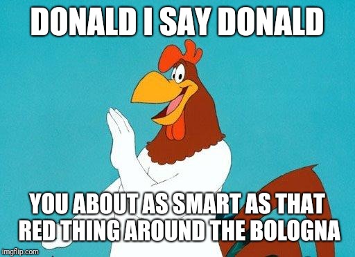 Foghorn Leghorn | DONALD I SAY DONALD; YOU ABOUT AS SMART AS THAT RED THING AROUND THE BOLOGNA | image tagged in foghorn leghorn | made w/ Imgflip meme maker