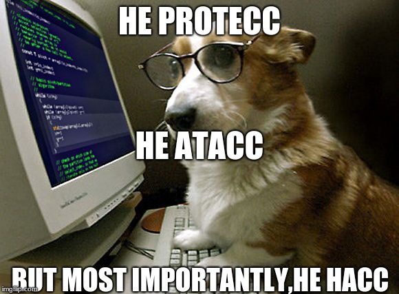corgi hacker | HE PROTECC; HE ATACC; BUT MOST IMPORTANTLY,HE HACC | image tagged in corgi hacker | made w/ Imgflip meme maker