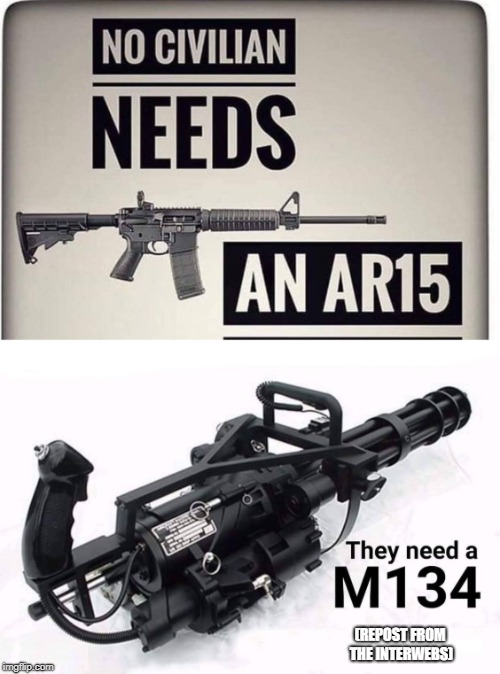  (REPOST FROM THE INTERWEBS) | image tagged in guns | made w/ Imgflip meme maker