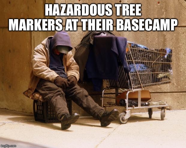 Homeless | HAZARDOUS TREE MARKERS AT THEIR BASECAMP | image tagged in homeless | made w/ Imgflip meme maker