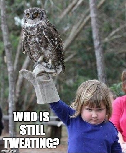 Girl with owl | WHO IS STILL TWEATING? | image tagged in girl with owl,memes | made w/ Imgflip meme maker