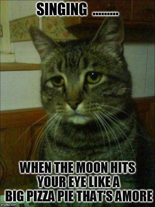 Fluffy Martin  | SINGING  ......... WHEN THE MOON HITS YOUR EYE LIKE A BIG PIZZA PIE
THAT'S AMORE | image tagged in memes,depressed cat | made w/ Imgflip meme maker