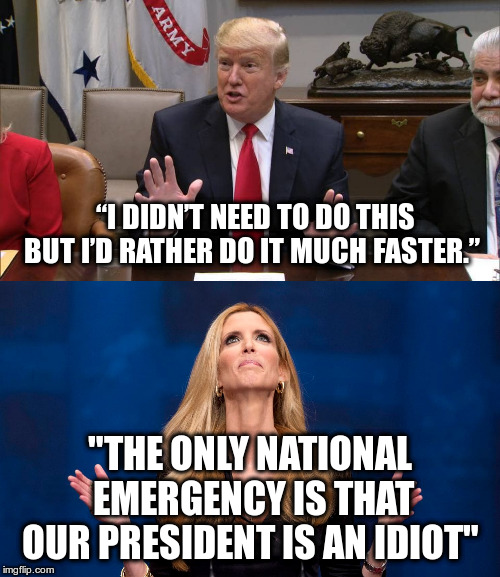 Did Ann Coulter says something I can agree with!??? | “I DIDN’T NEED TO DO THIS BUT I’D RATHER DO IT MUCH FASTER.”; "THE ONLY NATIONAL EMERGENCY IS THAT OUR PRESIDENT IS AN IDIOT" | image tagged in ann coulter,trump,humor,border wall,national emergency | made w/ Imgflip meme maker