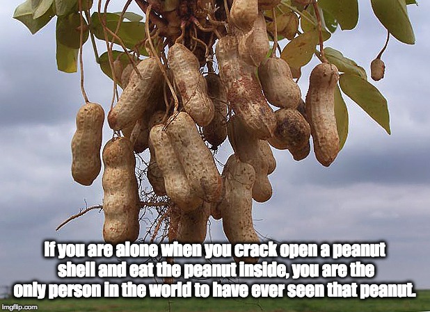 If you are alone when you crack open a peanut shell and eat the peanut inside, you are the only person in the world to have ever seen that peanut. | image tagged in peanuts,farmers,farm | made w/ Imgflip meme maker