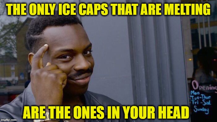 Roll Safe Think About It Meme | THE ONLY ICE CAPS THAT ARE MELTING ARE THE ONES IN YOUR HEAD | image tagged in memes,roll safe think about it | made w/ Imgflip meme maker