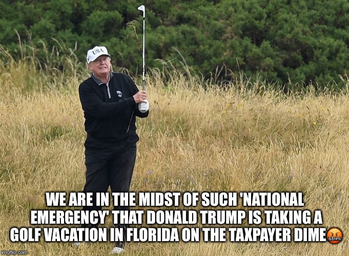 Trump’s National Emergency  | WE ARE IN THE MIDST OF SUCH 'NATIONAL EMERGENCY' THAT DONALD TRUMP IS TAKING A GOLF VACATION IN FLORIDA ON THE TAXPAYER DIME🤬 | image tagged in trumps national emergency,donald trump,liar in chief,the wall,crooked | made w/ Imgflip meme maker