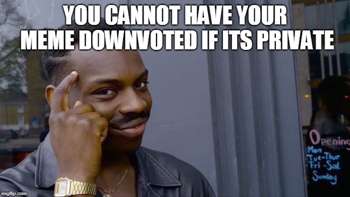 Roll Safe Think About It | YOU CANNOT HAVE YOUR MEME DOWNVOTED IF ITS PRIVATE | image tagged in memes,roll safe think about it | made w/ Imgflip meme maker