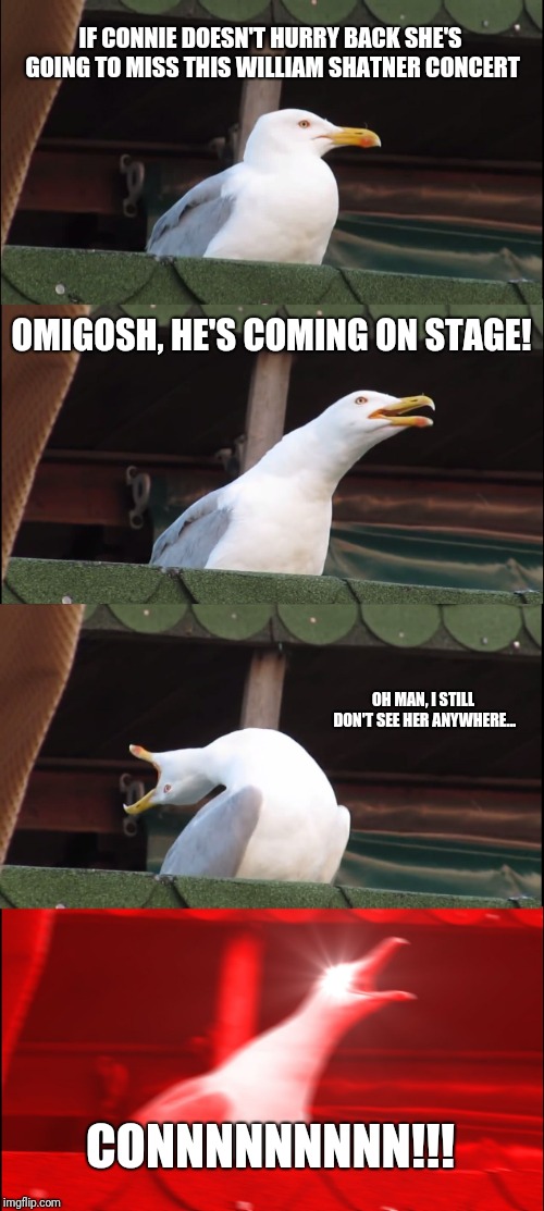 Inhaling Seagull Meme Imgflip