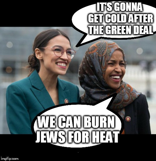 evil twins | IT'S GONNA GET COLD AFTER THE GREEN DEAL; WE CAN BURN JEWS FOR HEAT | image tagged in aoc,alexandria occasio cortez | made w/ Imgflip meme maker