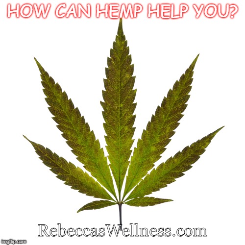 Hemp | HOW CAN HEMP HELP YOU? RebeccasWellness.com | image tagged in hemp | made w/ Imgflip meme maker
