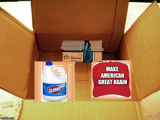 Empty Box | MAKE AMERICAN GREAT AGAIN | image tagged in empty box | made w/ Imgflip meme maker