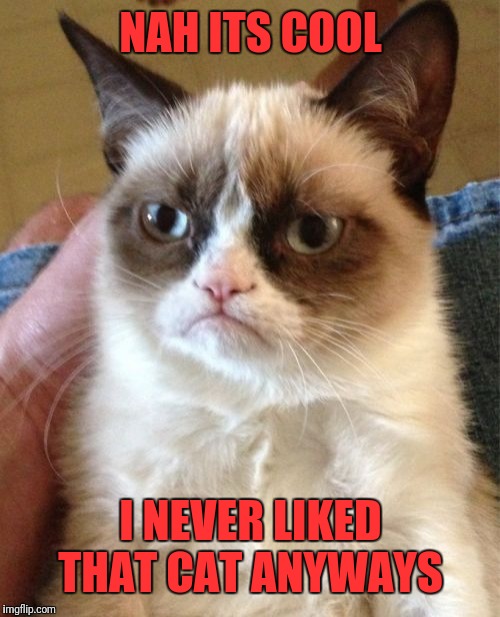 Grumpy Cat Meme | NAH ITS COOL I NEVER LIKED THAT CAT ANYWAYS | image tagged in memes,grumpy cat | made w/ Imgflip meme maker