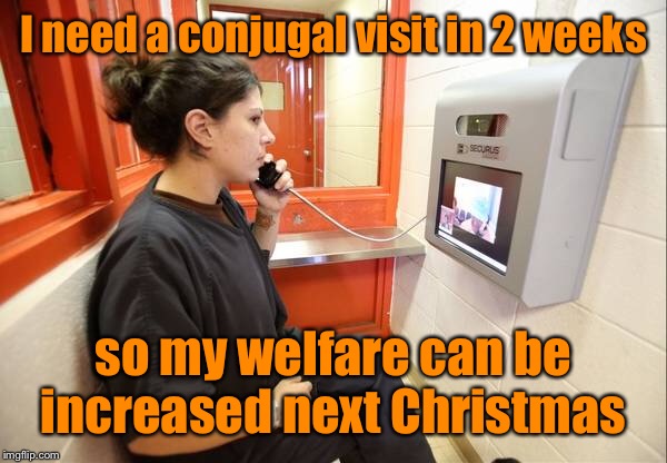 I need a conjugal visit in 2 weeks so my welfare can be increased next Christmas | made w/ Imgflip meme maker