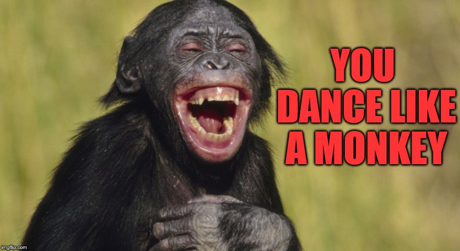 laughing monkey,memes | YOU DANCE LIKE A MONKEY | image tagged in laughing monkey memes | made w/ Imgflip meme maker