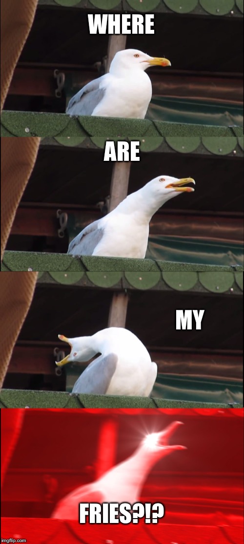 When they get your order wrong | WHERE; ARE; MY; FRIES?!? | image tagged in memes,inhaling seagull | made w/ Imgflip meme maker