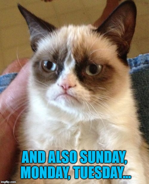 Grumpy Cat Meme | AND ALSO SUNDAY, MONDAY, TUESDAY... | image tagged in memes,grumpy cat | made w/ Imgflip meme maker