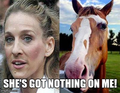 neigh Sarah Jessica Parker | SHE'S GOT NOTHING ON ME! | image tagged in neigh sarah jessica parker | made w/ Imgflip meme maker