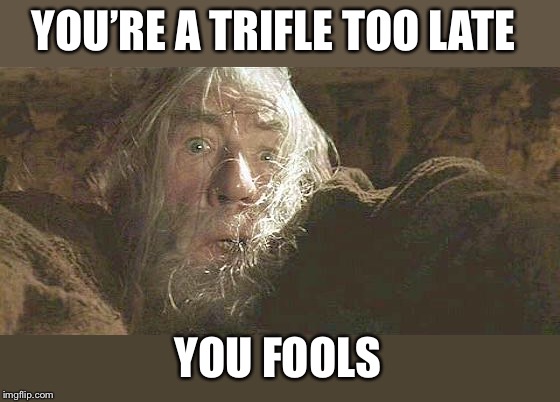Gandalf Fly You Fools | YOU’RE A TRIFLE TOO LATE YOU FOOLS | image tagged in gandalf fly you fools | made w/ Imgflip meme maker