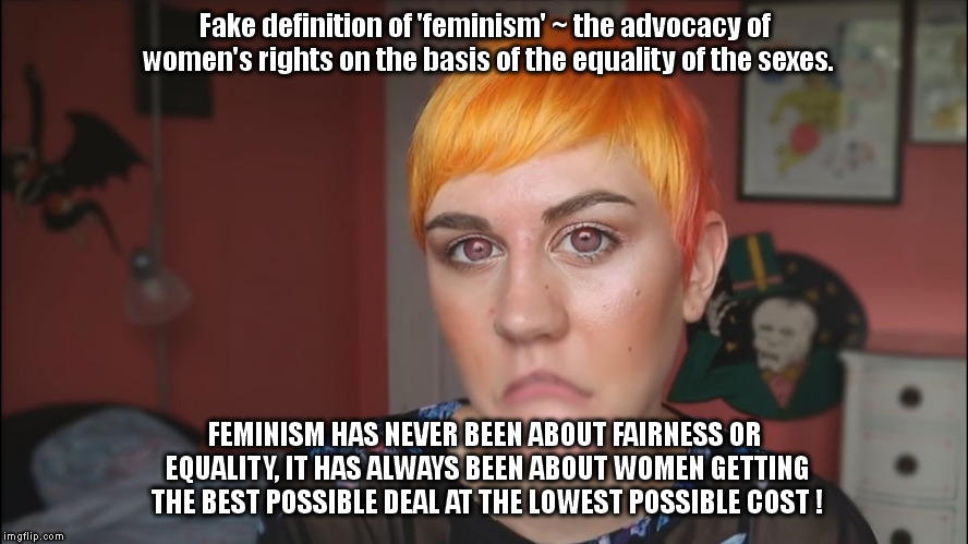 Feminism sans deception | Fake definition of 'feminism' ~ the advocacy of women's rights on the basis of the equality of the sexes. FEMINISM HAS NEVER BEEN ABOUT FAIRNESS OR EQUALITY, IT HAS ALWAYS BEEN ABOUT WOMEN GETTING THE BEST POSSIBLE DEAL AT THE LOWEST POSSIBLE COST ! | image tagged in feminist | made w/ Imgflip meme maker