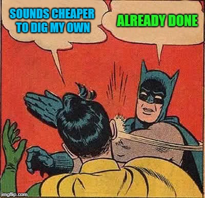 Batman Slapping Robin Meme | SOUNDS CHEAPER TO DIG MY OWN ALREADY DONE | image tagged in memes,batman slapping robin | made w/ Imgflip meme maker