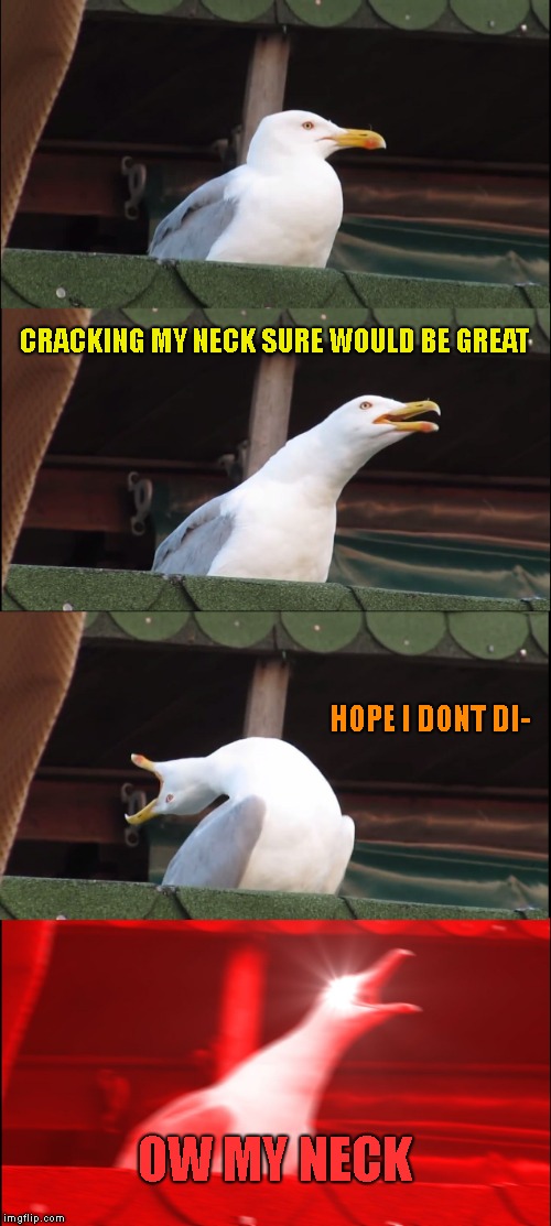 ouchie | CRACKING MY NECK SURE WOULD BE GREAT; HOPE I DONT DI-; OW MY NECK | image tagged in memes,inhaling seagull,ouchie,pain | made w/ Imgflip meme maker