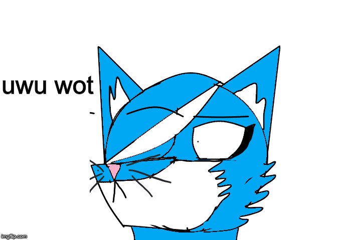 This be Ferrin, a female cat-anthrope | uwu wot | image tagged in memes,u wot m8 | made w/ Imgflip meme maker