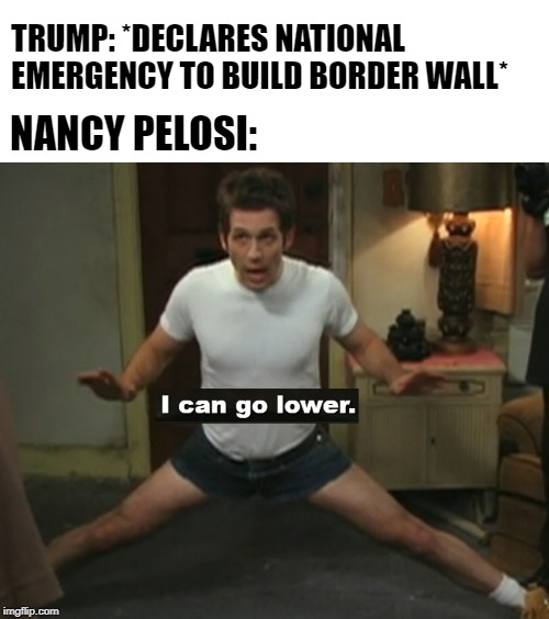 Trump goes low, Dems can go lower | NANCY PELOSI:; TRUMP: *DECLARES NATIONAL EMERGENCY TO BUILD BORDER WALL* | image tagged in i can go lower,trump,pelosi,border wall,mexico,national emergency | made w/ Imgflip meme maker