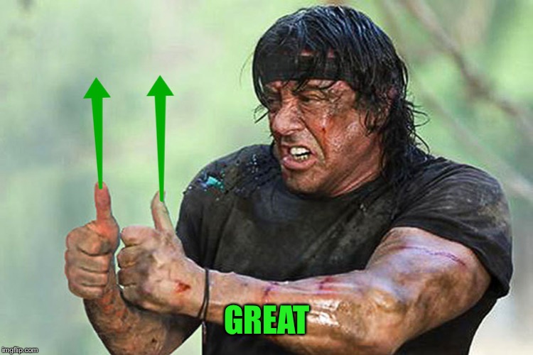 Two Thumbs Up Vote | GREAT | image tagged in two thumbs up vote | made w/ Imgflip meme maker