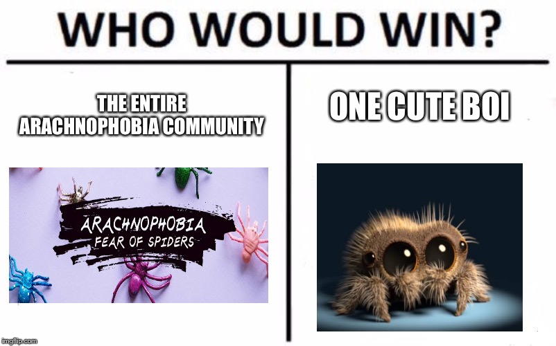 Who Would Win? | ONE CUTE BOI; THE ENTIRE ARACHNOPHOBIA COMMUNITY | image tagged in memes,who would win | made w/ Imgflip meme maker