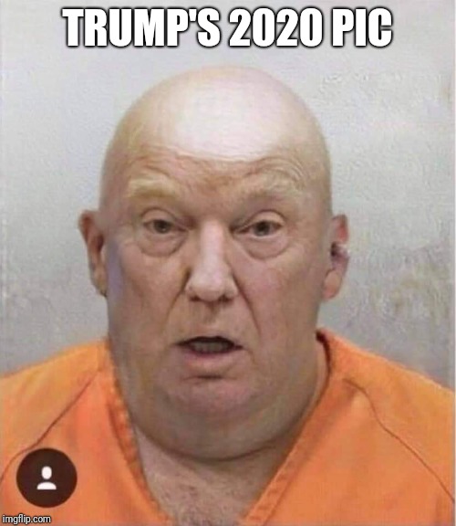 Memes | TRUMP'S 2020 PIC | image tagged in donald trump,impeach trump,trump impeachment | made w/ Imgflip meme maker