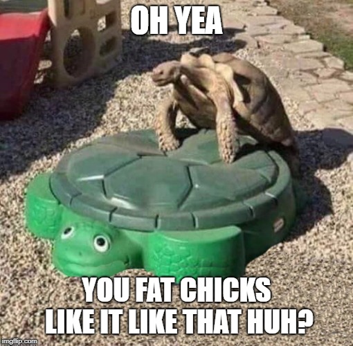 I like turtles | OH YEA; YOU FAT CHICKS LIKE IT LIKE THAT HUH? | image tagged in turtle,playground,funny | made w/ Imgflip meme maker