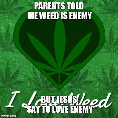 love weed | PARENTS TOLD ME WEED IS ENEMY; BUT JESUS SAY TO LOVE ENEMY | image tagged in love weed | made w/ Imgflip meme maker
