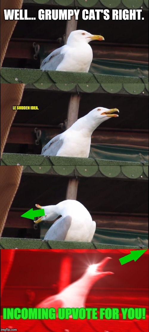Inhaling Seagull Meme | WELL... GRUMPY CAT'S RIGHT. LE SUDDEN IDEA. INCOMING UPVOTE FOR YOU! | image tagged in memes,inhaling seagull | made w/ Imgflip meme maker