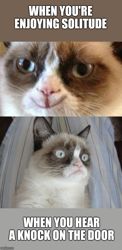 WHEN YOU'RE ENJOYING SOLITUDE; WHEN YOU HEAR A KNOCK ON THE DOOR | image tagged in grumpy cat happy,grumpy cat surprised | made w/ Imgflip meme maker