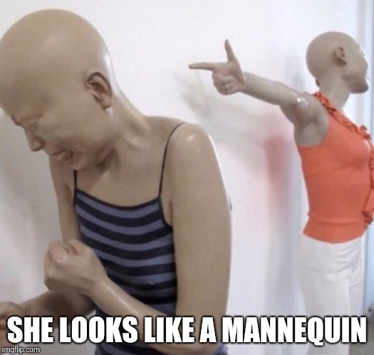 Pointing Mannequin | SHE LOOKS LIKE A MANNEQUIN | image tagged in pointing mannequin | made w/ Imgflip meme maker