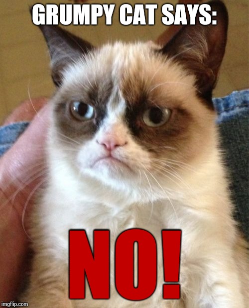 Grumpy Cat Meme | GRUMPY CAT SAYS: NO! | image tagged in memes,grumpy cat | made w/ Imgflip meme maker
