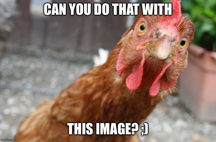 Chicken | CAN YOU DO THAT WITH; THIS IMAGE? ;) | image tagged in chicken | made w/ Imgflip meme maker