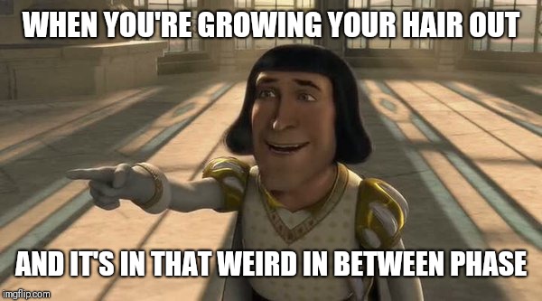 Lord farquaad | WHEN YOU'RE GROWING YOUR HAIR OUT; AND IT'S IN THAT WEIRD IN BETWEEN PHASE | image tagged in lord farquaad | made w/ Imgflip meme maker