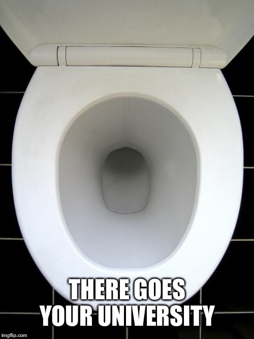 TOILET | THERE GOES YOUR UNIVERSITY | image tagged in toilet | made w/ Imgflip meme maker