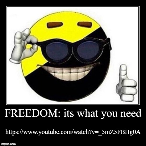 ancapistani beliefs | FREEDOM: its what you need | https://www.youtube.com/watch?v=_5mZ5FBHg0A | image tagged in funny,demotivationals,political meme,link,youtube | made w/ Imgflip demotivational maker