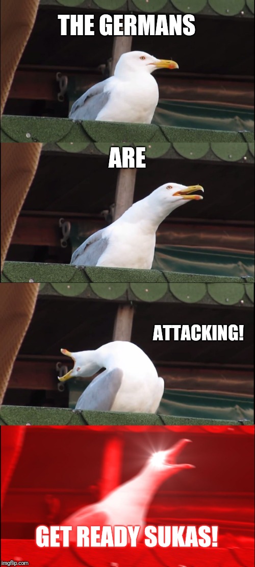 Inhaling Seagull | THE GERMANS; ARE; ATTACKING! GET READY SUKAS! | image tagged in memes,inhaling seagull | made w/ Imgflip meme maker