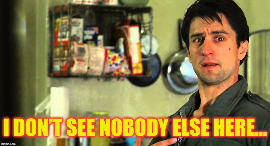 taxi driver | I DON’T SEE NOBODY ELSE HERE... | image tagged in taxi driver | made w/ Imgflip meme maker
