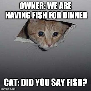 Ceiling Cat | OWNER: WE ARE HAVING FISH FOR DINNER; CAT: DID YOU SAY FISH? | image tagged in memes,ceiling cat | made w/ Imgflip meme maker