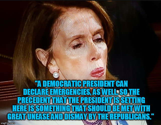 Thanks for warning the voters Nancy! Every President has used emergency declarations. | "A DEMOCRATIC PRESIDENT CAN DECLARE EMERGENCIES, AS WELL. SO THE PRECEDENT THAT THE PRESIDENT IS SETTING HERE IS SOMETHING THAT SHOULD BE MET WITH GREAT UNEASE AND DISMAY BY THE REPUBLICANS." | image tagged in nancy pelosi pb sandwich | made w/ Imgflip meme maker