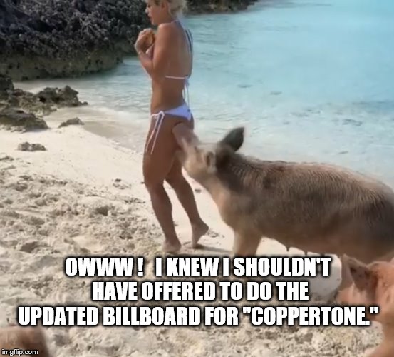 They should have stuck with a dog and a more covering swimsuit. | OWWW !   I KNEW I SHOULDN'T HAVE OFFERED TO DO THE UPDATED BILLBOARD FOR "COPPERTONE." | image tagged in signs/billboards | made w/ Imgflip meme maker