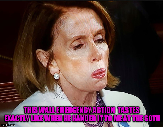 Losing sure leaves a funny taste in my mouth...... | THIS WALL EMERGENCY ACTION  TASTES EXACTLY LIKE WHEN HE HANDED IT TO ME AT THE SOTU | image tagged in nancy pelosi pb sandwich | made w/ Imgflip meme maker