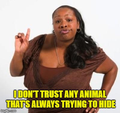 sassy black woman | I DON'T TRUST ANY ANIMAL THAT'S ALWAYS TRYING TO HIDE | image tagged in sassy black woman | made w/ Imgflip meme maker