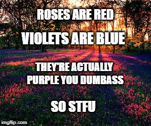 roses are red | ROSES ARE RED; VIOLETS ARE BLUE; THEY'RE ACTUALLY PURPLE YOU DUMBASS; SO STFU | image tagged in roses are red | made w/ Imgflip meme maker